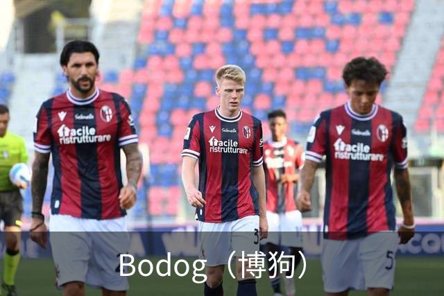 Bodog（博狗）公司简介